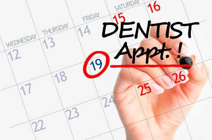 Dentist appointment schedule nechupadam clinic dental