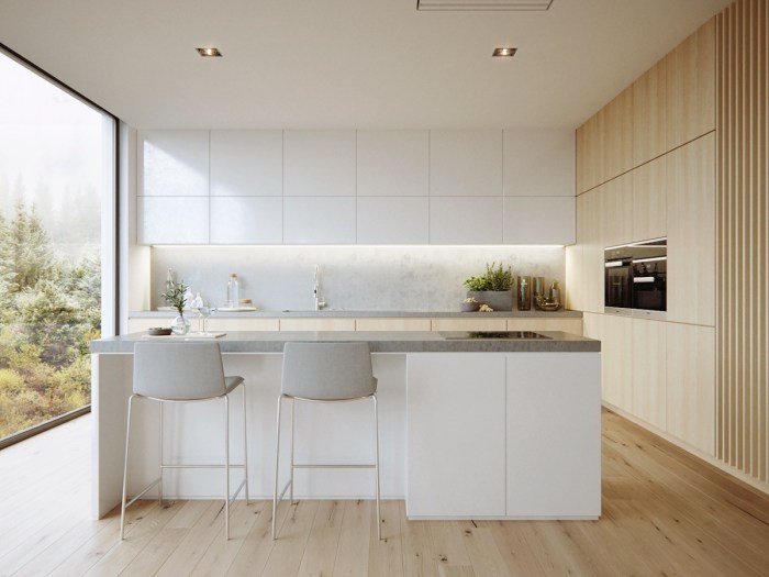 Minimalist kitchens kitchen white wood interior ideas sleek inspiration super get visualizer studio